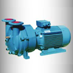 2BV直聯水環(huán)式真空泵